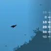 A Penguin's Odyssey