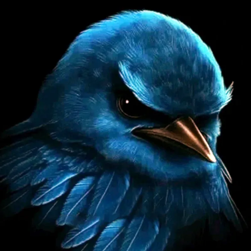 Bird Game Clicker