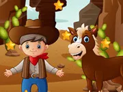 Cowboy Hidden Stars