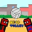 Head Volley