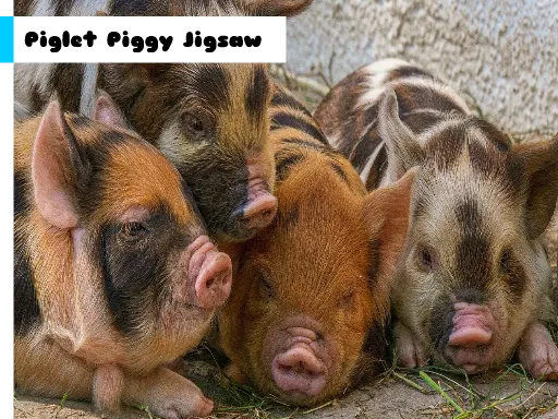 Piglet Piggy Jigsaw