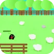 Save the Sheep
