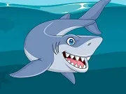 Shark Jigsaw